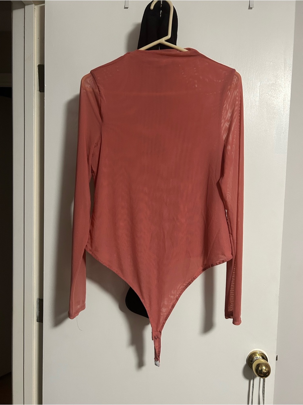 iris Sheer Long-Sleeve Bodysuit - Rose Clay